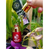 Huynh Do 12h Acne Serum