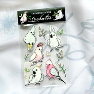 轉印貼紙 | 巴丹鸚鵡圖鑑水晶轉印貼紙