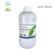 iKnowZyme PXC เอนไซม์รวม 3 ชนิด เพกทิเนส ไซลาเนสและเซลลูเลส ขนาด 1 กิโลกรัม