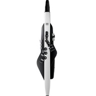 Roland Aerophone Digital Wind Instrument