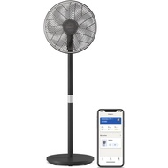 Philips 3000 Series CX3550/01 - Pedestal Fan, 2562 m³/h, Tiltable Head and Oscillates 90°, 40cm, Bla