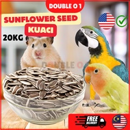 Premium Sunflower Seed Kuaci Biji Matahari USA (Makanan Hamster/Burung Nuri/Parrot) (20kg)