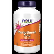 Pantothenic Acid 500mg 250 Veg Capsules B-Complex Vitamin Vitamin B-5 Vegetarian