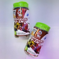AQUA GUARD Pro - Biotic Formula Arowana 2 In 1 Fish Food ( 100gm )