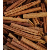 Anak Pokok Kulit Kayu Manis/Cinnamon