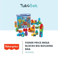 Mega Bloks HRR60 First Builders BIG Building Bag (30 pcs) - Educational Building Blocks for Toddlers