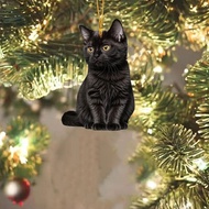 2d Acrylic Plush Black And White Kitty Cat Small Decoration Perfect Accessories Pendant, & Car S3r8