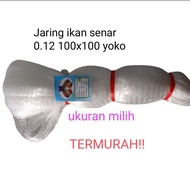 0.12 100X100 YOKO STRING FISHING NET