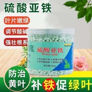 Tool Ferrous Sulfate Flower Fertilizer Happiness Acid Fast Milan Gardenia Tea Flower Azalea Osmanthu