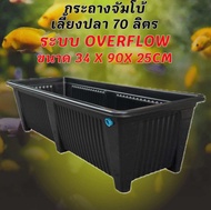 กระถางเลี้ยงปลาไซซ์จัมโบ้สีขาว ท่อขาว ระบบoverflow ขนาด34x90x25CM กะบะเลี้ยงปลา อ่างเลี้ยงปลา อ่างเล