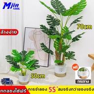 🔥ความจำลอง 99%🔥Mjiatool ต้นไม้ปลอม ต้นไม้เทียม 70cm/18ใบ ฟรีกระถางดอกไม้ต้นไม้+หินตกแต่ง มอนสเตอร่าด่าง ตกแต่งบ้าน fake plants