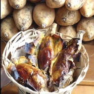 [New BUY 3 FREE 1] Keratan ubi keledek manis cilembu