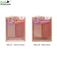 Cezanne 2-pan blush