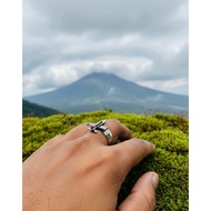 Fighter plane philosophy ring