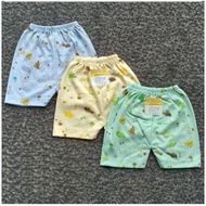 3 PCS ELVIRA BABY SHORTS- ELVIRA MOTIF BABY PANTS - MIX COLORS