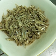 ikan bilis kopek