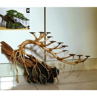 bonsai aquascape/aquarium driftwood decoration planting