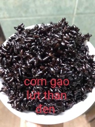 (HCM) túi 3kg gạo lứt dẻo đen Điện Biên date mới bao thơm ngon từng hạt