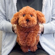 Sunlemon 3032 Toy Poodle Brown Lying Dog Stuffed Toy S