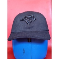 Combo link 2 blue jays hat + armour