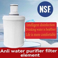 Amway eSpring water purifiers: High-density activated carbon filter elements