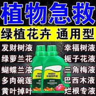 Green Plant Nutrient Solution Fortune Happiness Tree Hydroponic Rich Bamboo Green Radish Bougainvillea Gardenia Orchid S