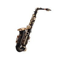 Eb Alto Saxophone Sax Brass Lacquered Gold 82Z Key Type Woodwind Instrument with Padded Carry Case G