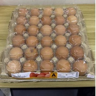 QL FRESH EGGS 30`S GRADE A