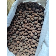 ♞Hydroton clay pebbles(500gram)