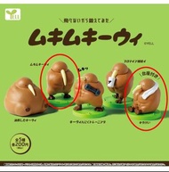 YELL ～ 壯壯 奇異鳥 扭蛋