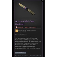 CSGO Ursus Knife | Case Hardened
