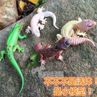 New Product Japan Ocean Hall Lizard Gecko Gecko Model Fine Skin Tumor Tail Lizard Animal Model Capsu