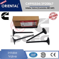 Cummins 4995554 / 3920867 Intake Valve for 4BT & 6BT | Cummins Intake Valve | DCEC parts | Cummins 4