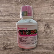 Benevia 250 ML Cyantraniliprole 10.26% Kutu Thrip White Fly & Ulat