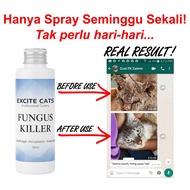 Excite Cats Fungus Killer Ubat Kurap Kucing Ubat Fungus Untuk Kucing Ubat Luka kucing Ubat Sporo Kuc