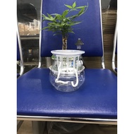 511 transparent plastic aquatic plant pot, 13cm high, 10cm mouth, beautiful product and available in