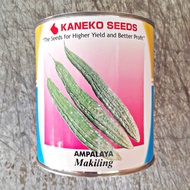 MAKILING OPV AMPALAYA SEEDS (250 GRAMS APPROX. 1250 SEEDS) by KANEKO SEEDS