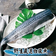 【鮮綠生活】 (免運組)韓國白腹魚菲力魚排(300~400克/包)共10包