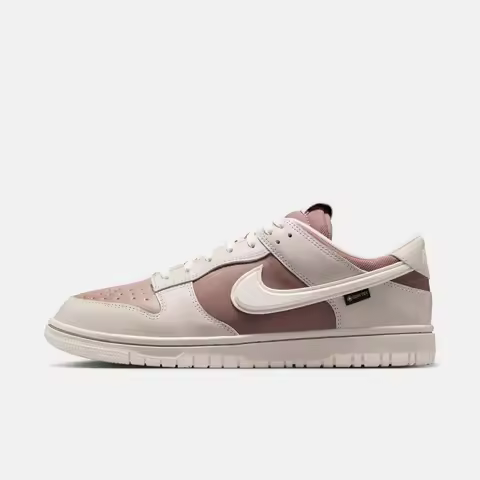 NIKE Men's NIKE DUNK LOW GTX Casual Shoes HQ2053-002