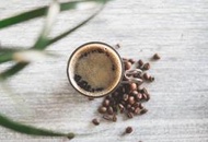 淺烘焙咖啡豆系列 /  衣索比亞 耶加雪菲 果丁丁 G1等級 (濾掛式咖啡，1包12克)