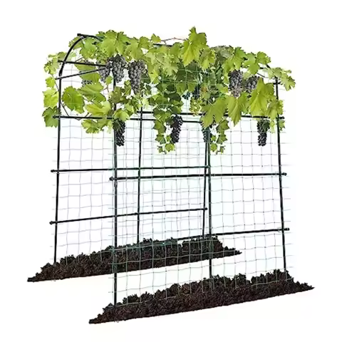7Ft. Arch Trellis for Climbing Plants 7 x 6 x 7ft Tall Metal Tunnel Trellis Lightweight Metal Plant 