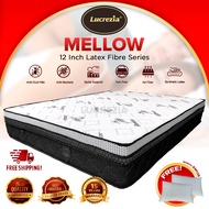 Free Shipping / Lucrezia Mellow (12 inch) Latex Feel Foam Coconut Fibre Mattress / Tilam / 椰丝床垫 / ( 