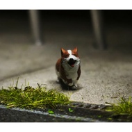 3D Receh 1 Corgi Dog64 2 Diorama Model Miniature Hot Wheels Diorama Diecast Hot Wheel DioramaMiniGT 