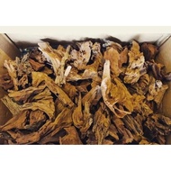 Aquarium Decoration Drift Wood Mini Size