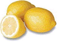 benih/bibit/biji jeruk lemon