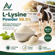 L-ysine Lysine Powder 98.5% 赖氨酸粉 - Supplement Ingredient