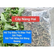 1kg of dried basil plant, dried basil plant driedClear