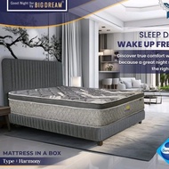 SPRINGBED MATTRESS IN THE BOX BIGNITE + 2 PILLOWS 180x200x23cm