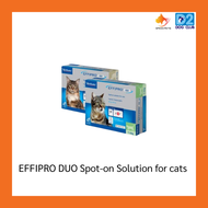 EFFIPRO DUO Spot-on Solution for cats ยาหยอดแมว ยาหยอดหมัดแมว เห็บ หมัด แมว สำหรับแมว บรรจุ 4 หลอด (