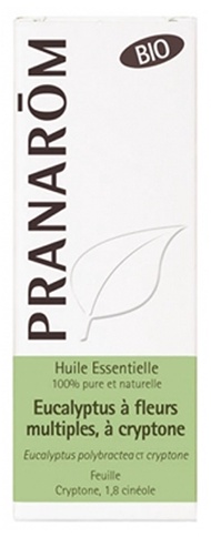 Pranarom Bio Essential Oil Eucalyptus with Several Flower of Cryptone (Eucalyptuus polybractea ct cr